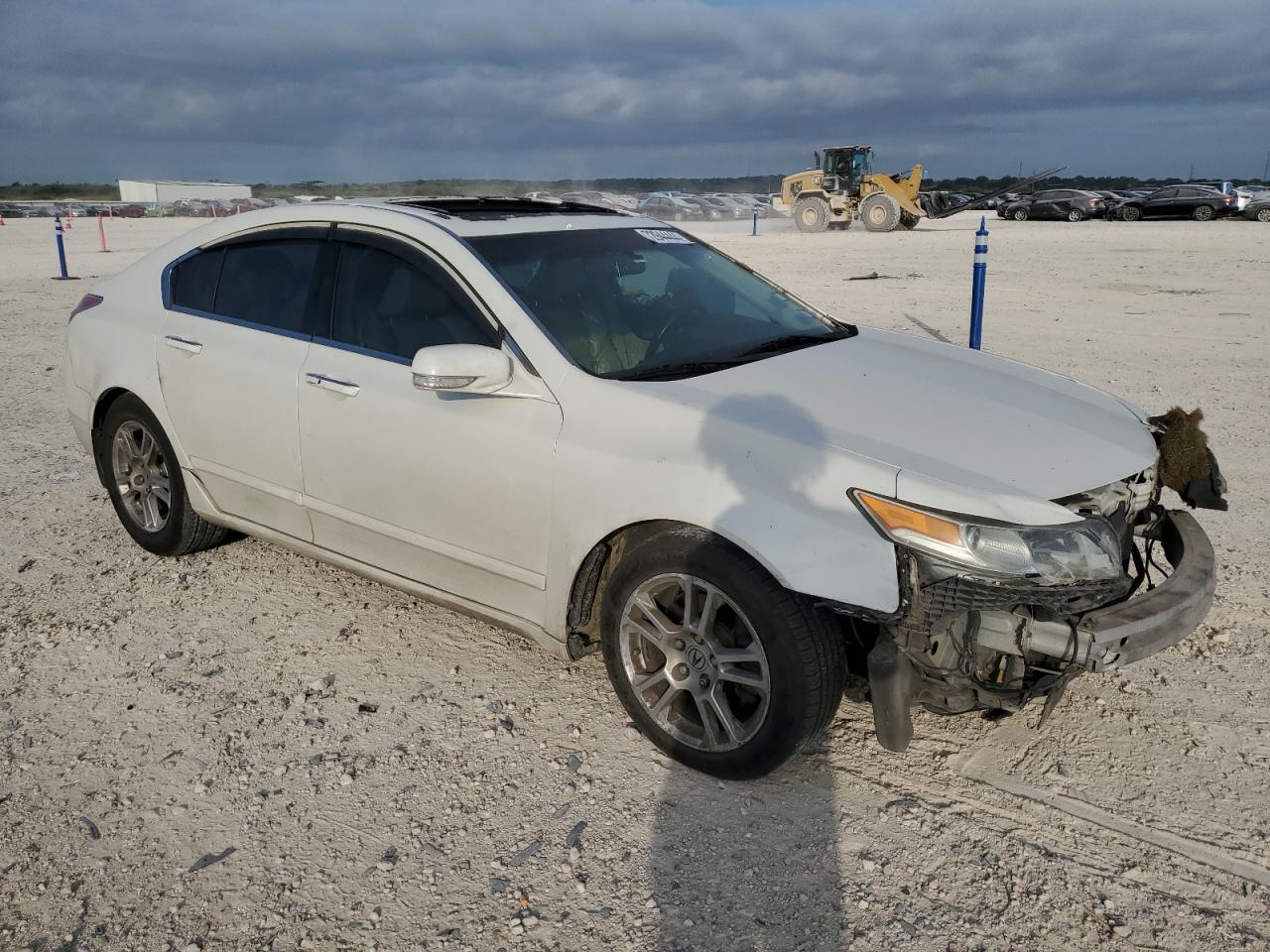 Lot #2991037206 2009 ACURA TL