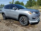 JEEP COMPASS LI photo