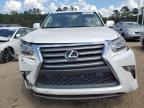 LEXUS GX 460 photo