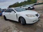 Lot #3024386549 2008 LEXUS ES 350