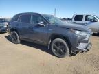 TOYOTA RAV4 XLE photo