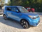 KIA SOUL + photo