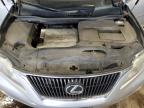 LEXUS RX 350 photo