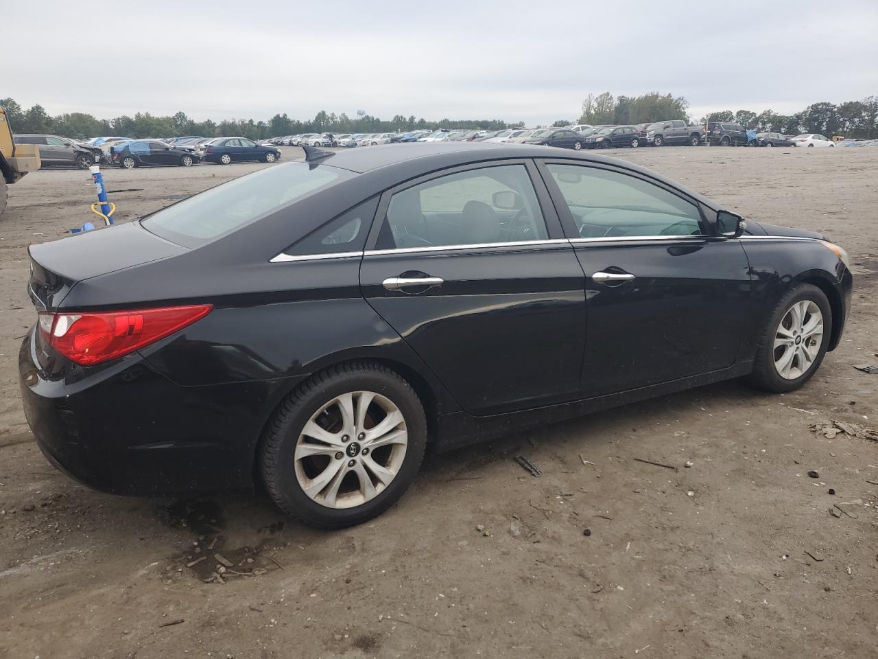 Lot #3024964440 2011 HYUNDAI SONATA SE