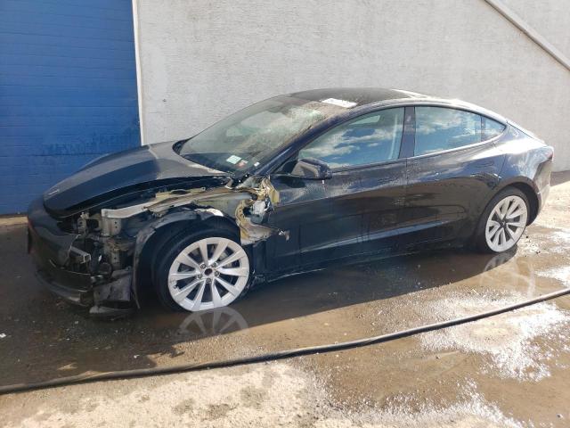 2023 TESLA MODEL 3 - 5YJ3E1EA4PF448727