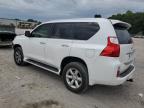 LEXUS GX 460 снимка