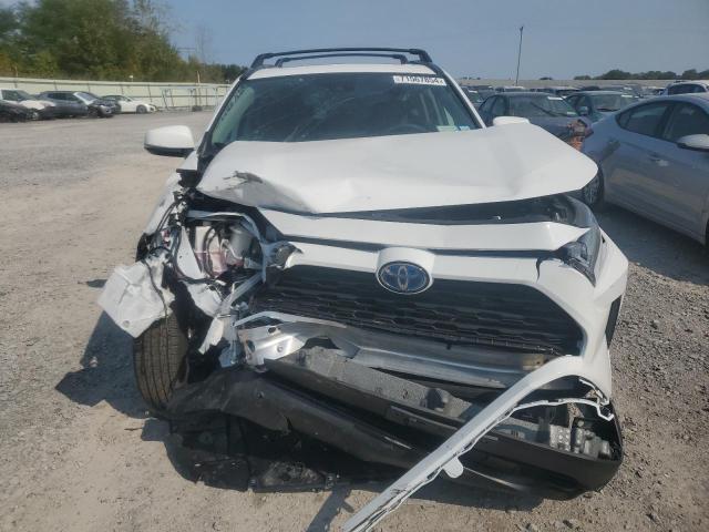 VIN 2T3RWRFV8RW202834 2024 Toyota RAV4, Xle no.5