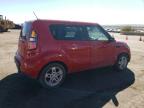 KIA SOUL + photo