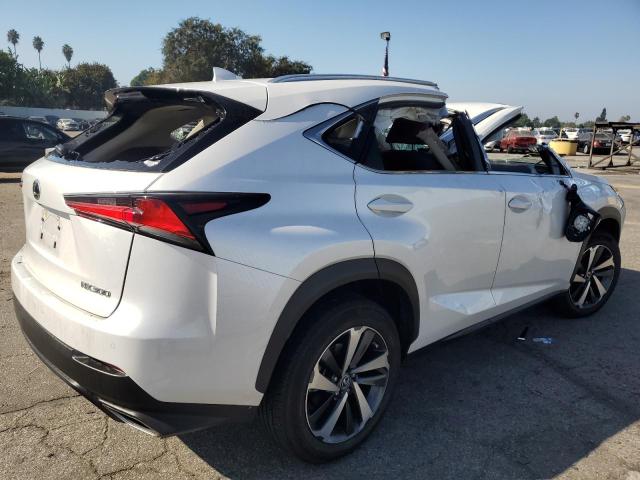 2021 LEXUS NX 300 BAS - JTJGARBZ0M5025434