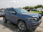 JEEP CHEROKEE T photo