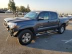 TOYOTA TACOMA DOU photo