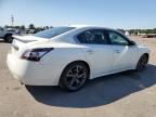 NISSAN MAXIMA S photo