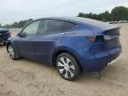 TESLA MODEL Y photo