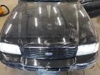 Lot #3041817407 2003 FORD CROWN VICT