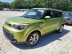 KIA SOUL + photo