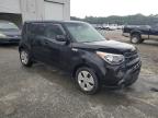 KIA SOUL photo