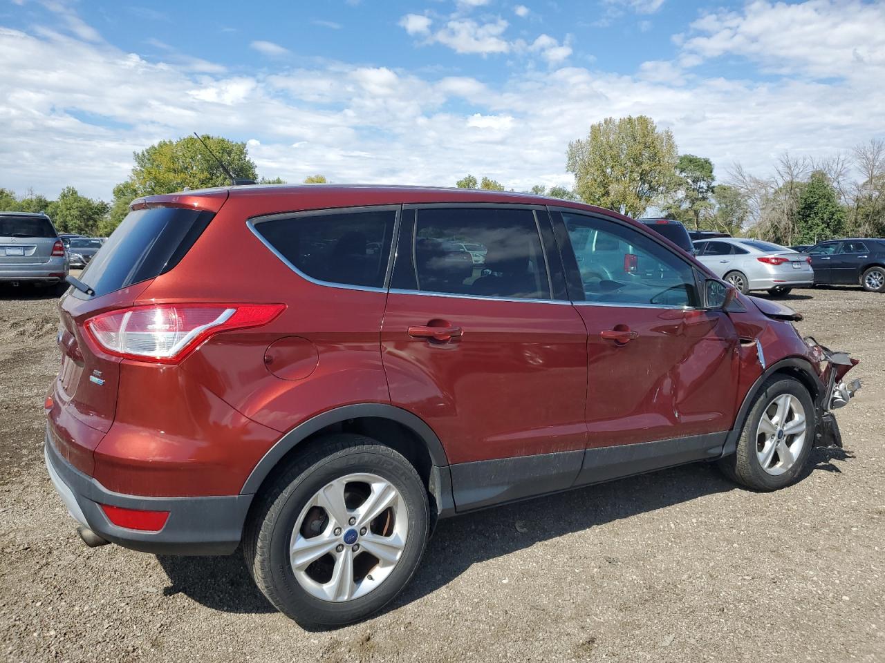 Lot #2902485924 2014 FORD ESCAPE SE