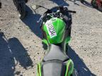 Lot #3024199856 2024 KAWASAKI EX500 H