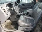 Lot #3024631578 2002 FORD ESCAPE XLT