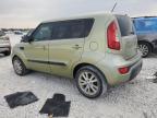 KIA SOUL + photo