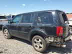 HONDA PILOT EXL photo