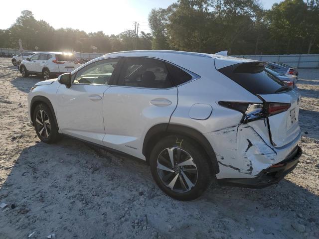 2020 LEXUS NX 300H - JTJGJRDZ8L5008327