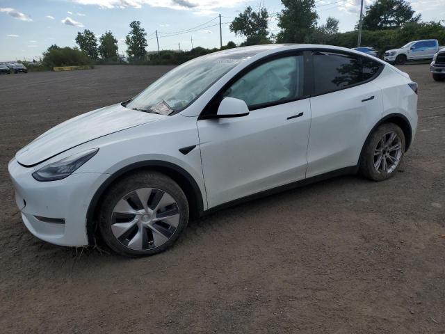 2020 TESLA MODEL Y - 5YJYGDEE2LF026213