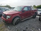 FORD F150 SUPER снимка