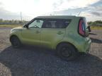 KIA SOUL + photo