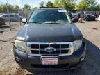 FORD ESCAPE XLT photo