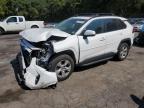 2019 TOYOTA RAV4 XLE - JTMP1RFV4KD046008
