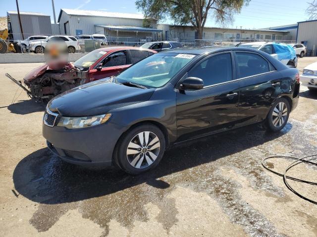 VIN KNAFU4A26D5733505 2013 KIA Forte, EX no.1