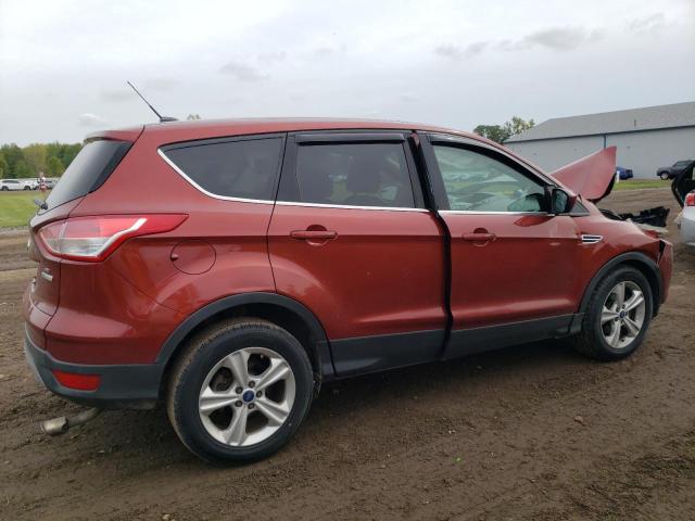 FORD ESCAPE SE 2014 orange  gas 1FMCU0GXXEUE36645 photo #4