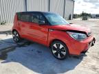 KIA SOUL + photo