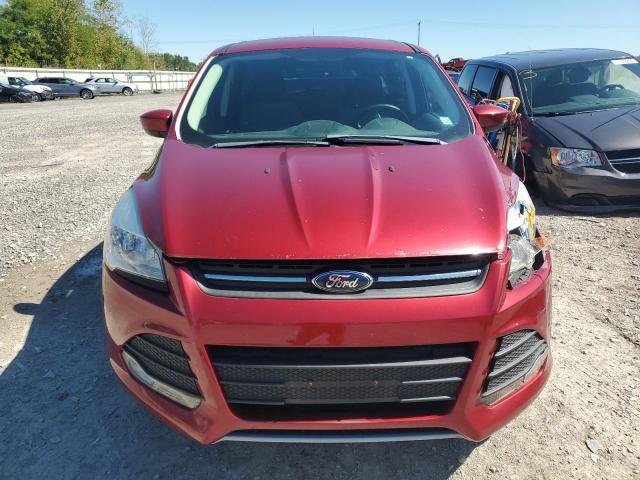 VIN 1FMCU9GX8EUD44941 2014 Ford Escape, SE no.5