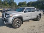 2021 TOYOTA TACOMA DOU - 3TMCZ5AN0MM371916