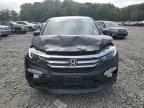 HONDA PILOT EXL photo