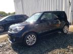 KIA SOUL + photo