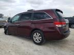 HONDA ODYSSEY EX photo