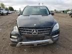 MERCEDES-BENZ ML 350 4MA photo