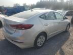 HYUNDAI ELANTRA SE photo