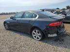 JAGUAR XE PRESTIG photo