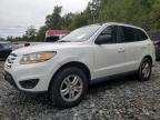 Lot #3027011836 2010 HYUNDAI SANTA FE