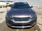 HONDA ACCORD SPO photo