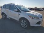 Lot #3024450586 2015 FORD ESCAPE TIT