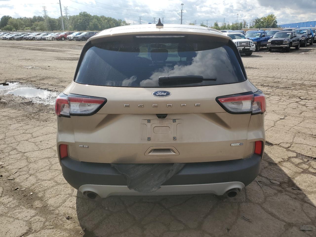 Lot #2942939303 2020 FORD ESCAPE SE