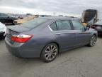 HONDA ACCORD SPO photo