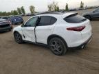 ALFA ROMEO STELVIO SP photo