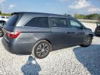 HONDA ODYSSEY LX photo