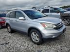 HONDA CR-V EXL photo